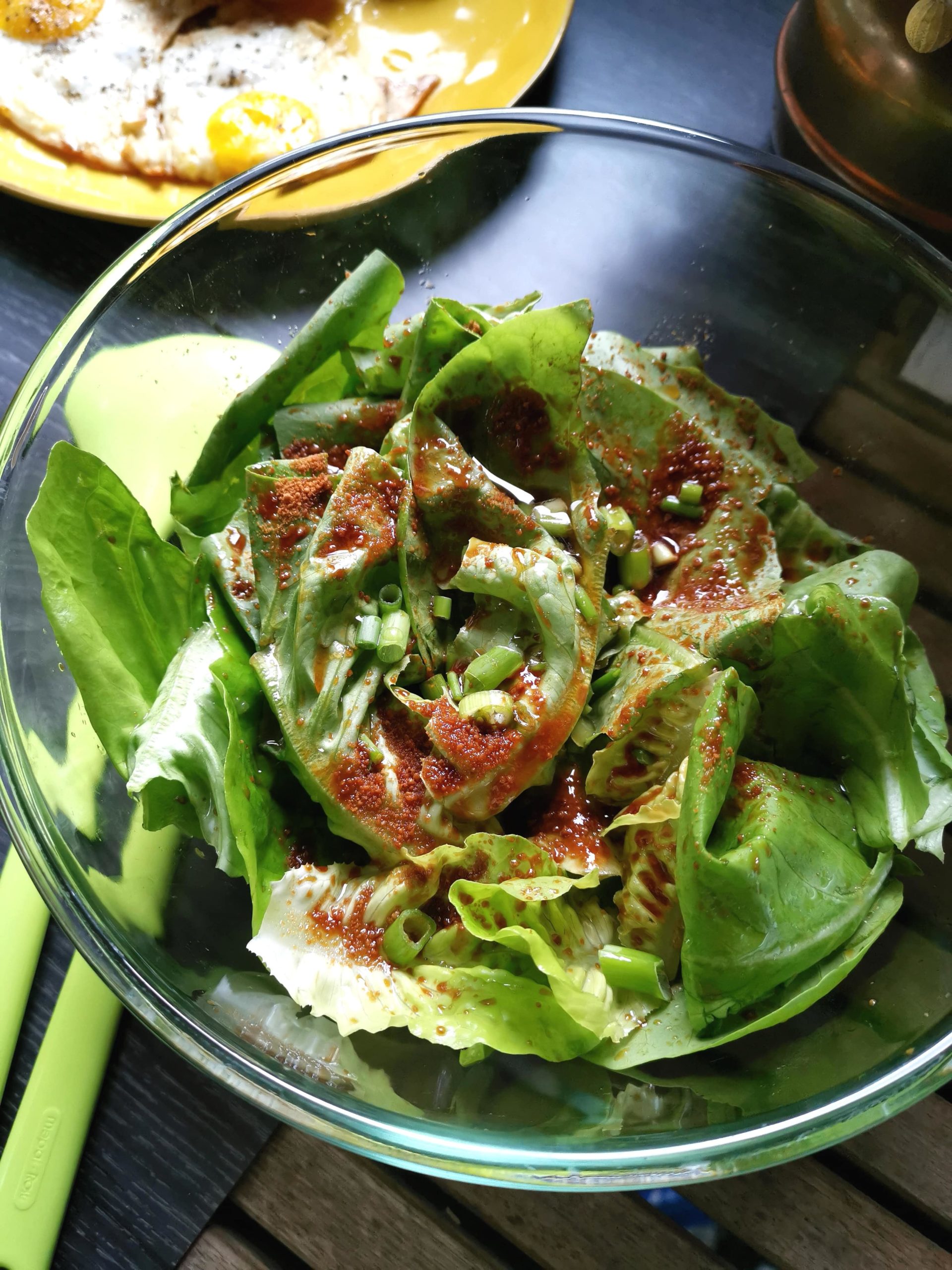 grüner-Salat-mit-kokosblütenzucke-Karla-Gast grüner Salat mit Kokosblütenzucker
